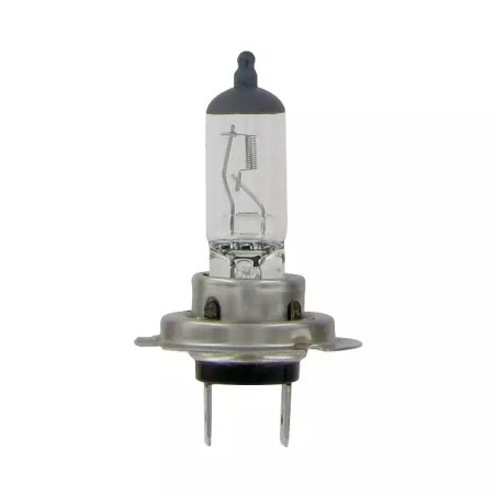 AMPOULE H7 12V 55W - ref. 1224270 | TP Agri