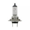 AMPOULE H7 12V 55W - ref. 1224270 | TP Agri