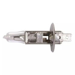 AMPOULE H1 12V 55W - ref. 1224467 | TP Agri