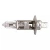 AMPOULE H1 12V 55W - ref. 1224467 | TP Agri