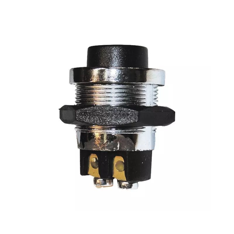 INTERRUPTEUR POUSSOIR METAL 12/24V