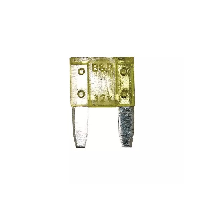 FUSIBLE ENFICHABLE MICRO 20A BLISTER DE 6 - ref. 3808396 | TP Agri
