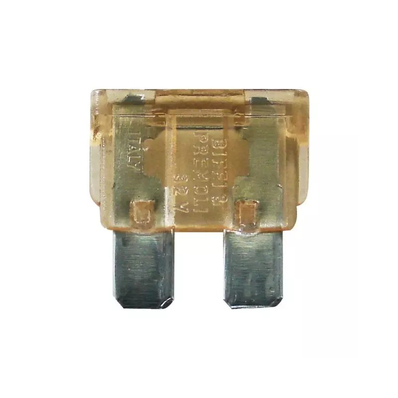 FUSIBLE ENFICHABLE 5A BLISTER DE 10 - ref. 3808358 | TP Agri