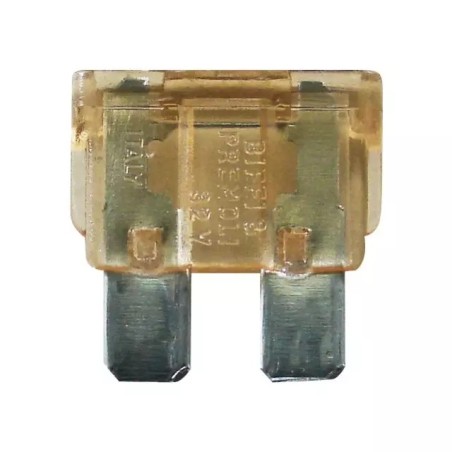 FUSIBLE ENFICHABLE 5A BLISTER DE 10 - ref. 3808358 | TP Agri