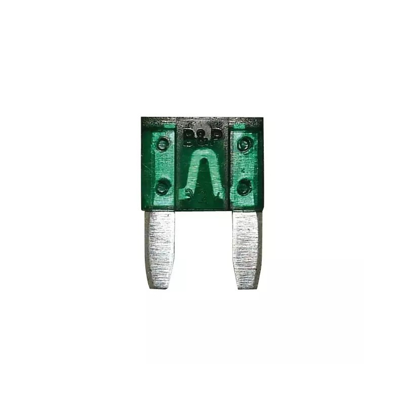 FUSIBLE ENFICHABLE MICRO 30A BLISTER DE 5 - ref. 3808400 | TP Agri