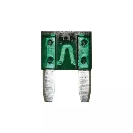 FUSIBLE ENFICHABLE MICRO 30A BLISTER DE 5 - ref. 3808400 | TP Agri