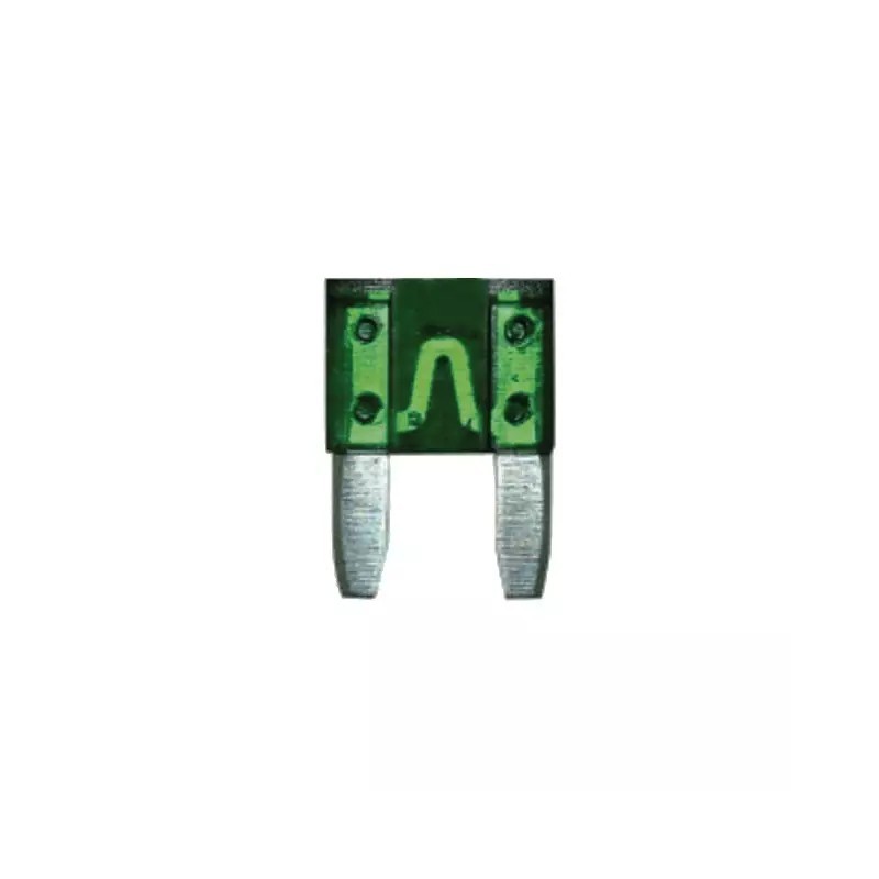 FUSIBLE ENFICHABLE MICRO 30A SACHET DE 50
