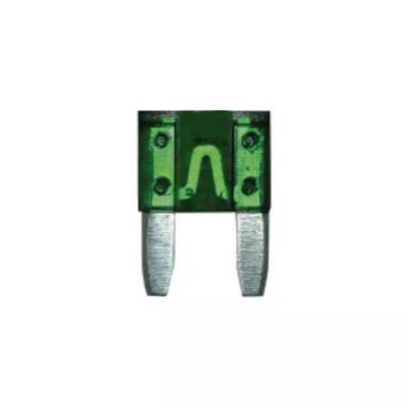 FUSIBLE ENFICHABLE MICRO 30A SACHET DE 50