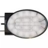 FEU AVANT DROIT OVALE 2 FONCTIONS LED 12-24V - ref. 1216246 | TP Agri