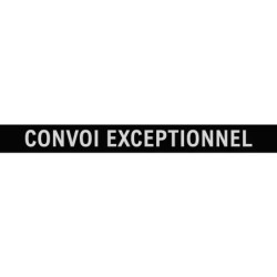 LAMELLE CONVOI EXCEPTIONNEL POUR RAMPE SANS FIL JEU DE 2 TECHNI-POWER