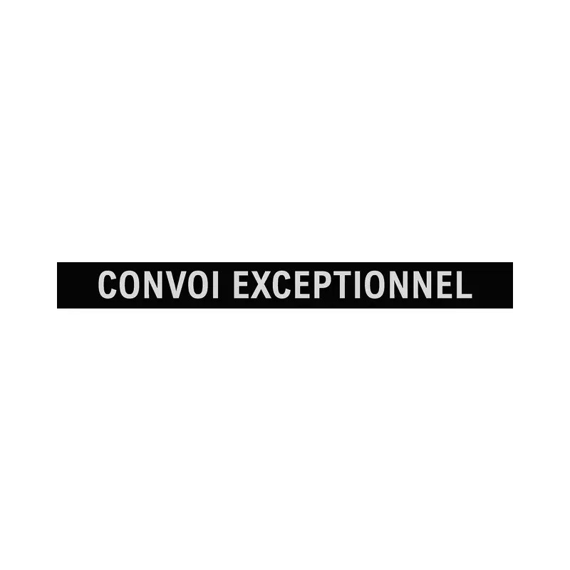 LAMELLE CONVOI EXCEPTIONNEL POUR RAMPE SANS FIL JEU DE 2 TECHNI-POWER