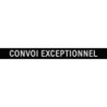 LAMELLE CONVOI EXCEPTIONNEL POUR RAMPE SANS FIL JEU DE 2 TECHNI-POWER