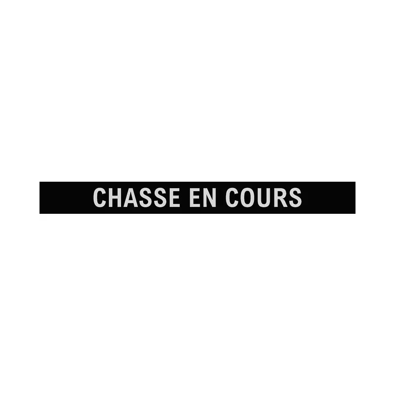 LAMELLE CHASSE EN COURS POUR RAMPE SANS FIL JEU DE 2 TECHNI-POWER
