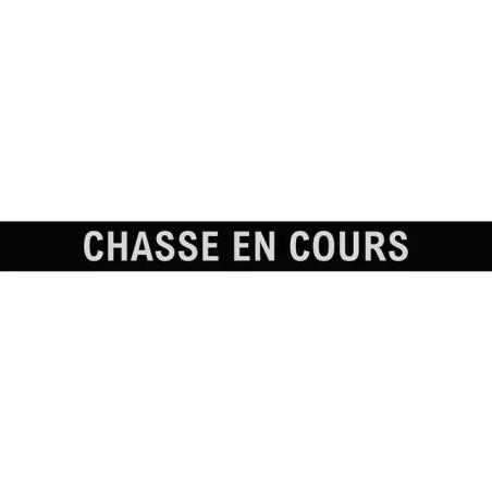 LAMELLE CHASSE EN COURS POUR RAMPE SANS FIL JEU DE 2 TECHNI-POWER