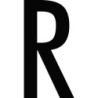 CARACTERE LETTRE ( R ) STYLE AUTO SACHET DE 10
