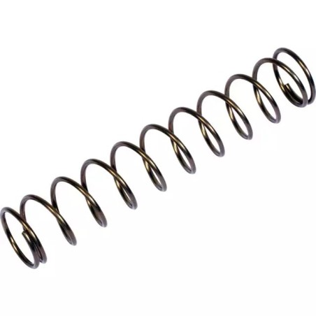 RESSORT 20,1X1,6X95,5 MM WALTERSCHEID