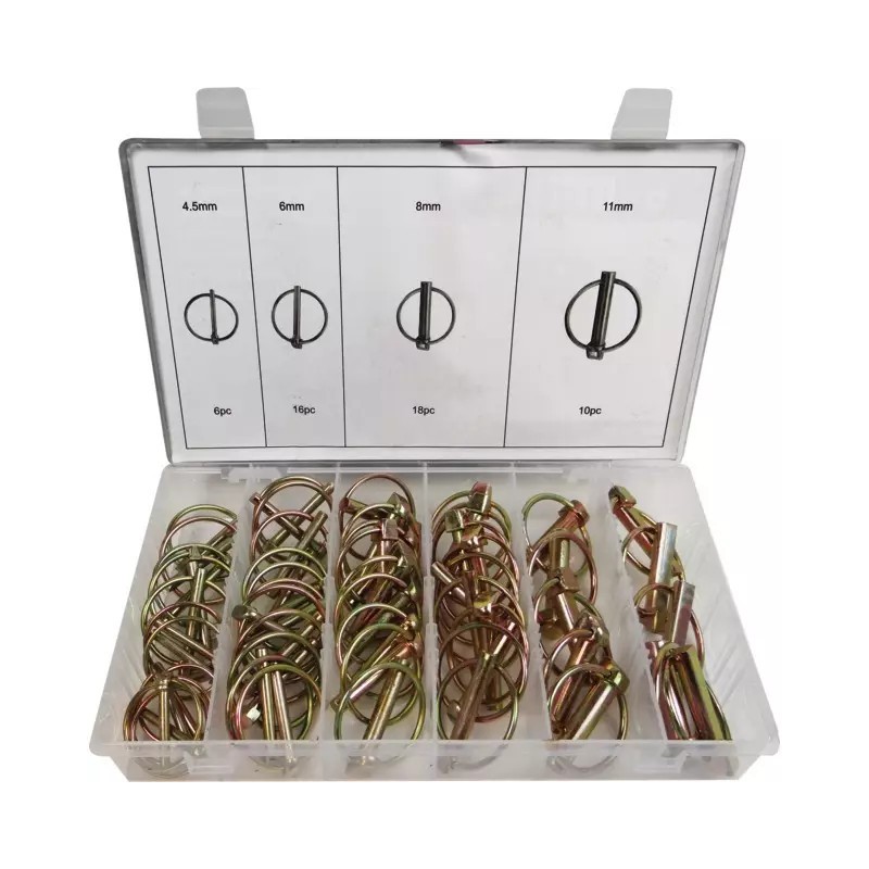 COFFRET 50 GOUPILLES CLIPS TECHNI-POWER